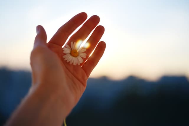 Trauma Recovery